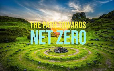 Reviewing the Net-Zero Transition